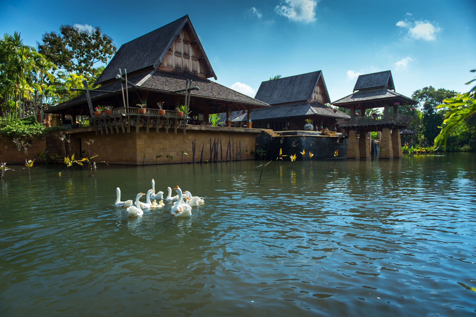 Howie'S Homestay Mae Rim Eksteriør bilde